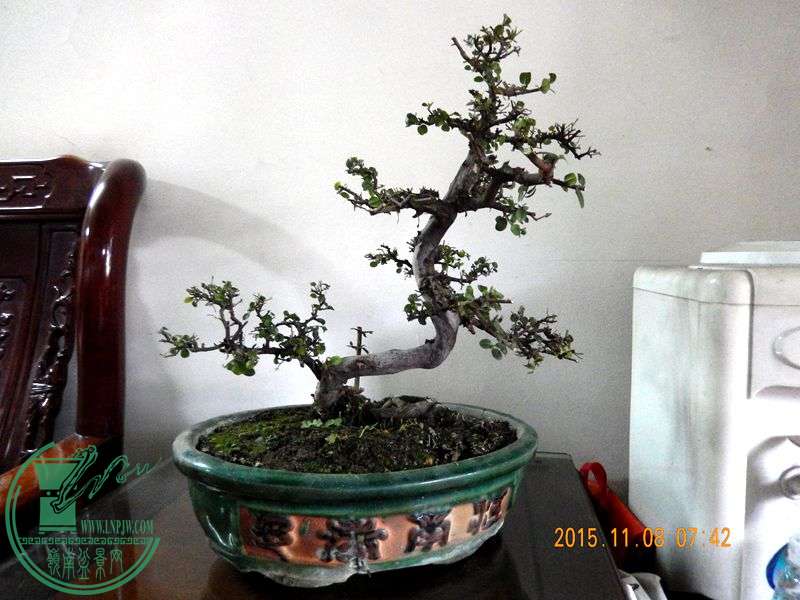Ƭ 090_.jpg