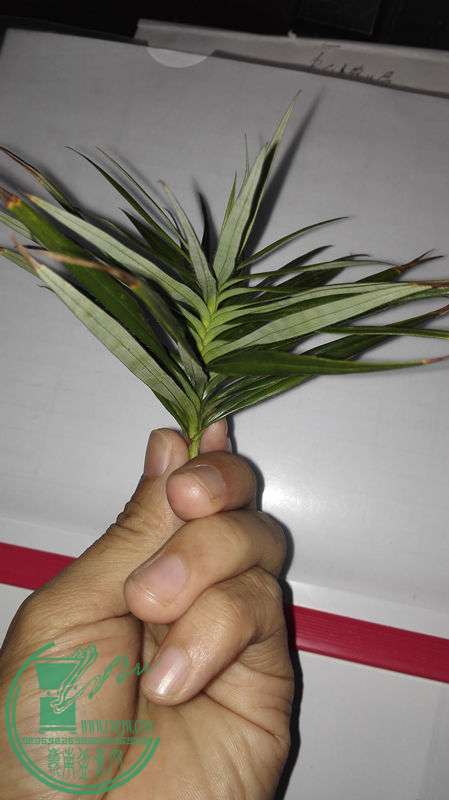 IMG_20151110_165816.jpg