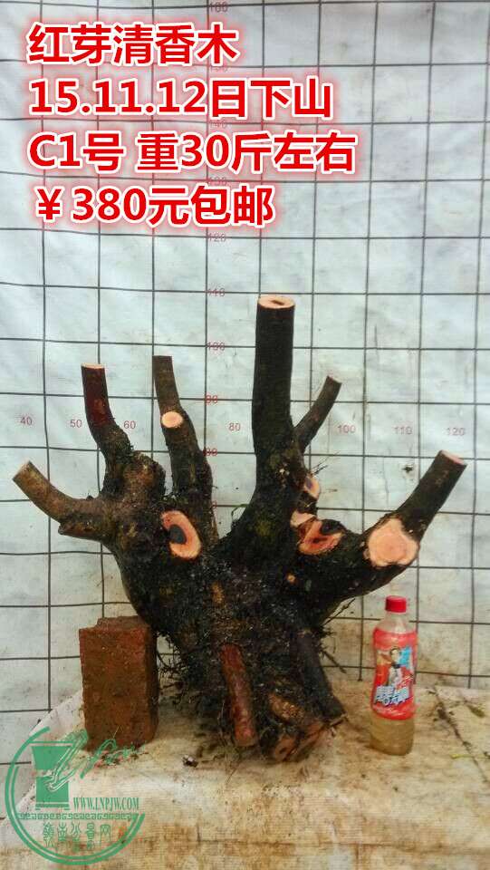 QQͼƬ20151112200824_.jpg
