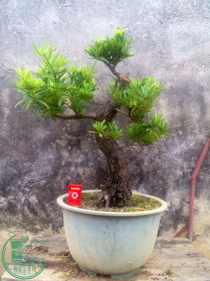 111.jpg