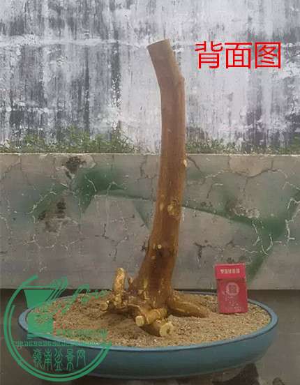 3_.jpg