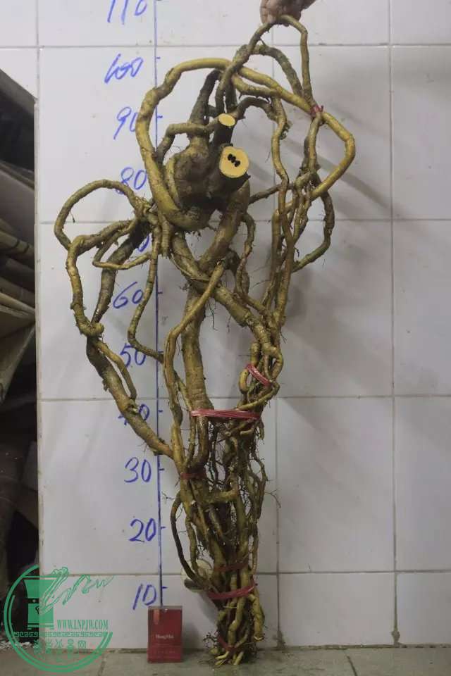 psb (1).jpg
