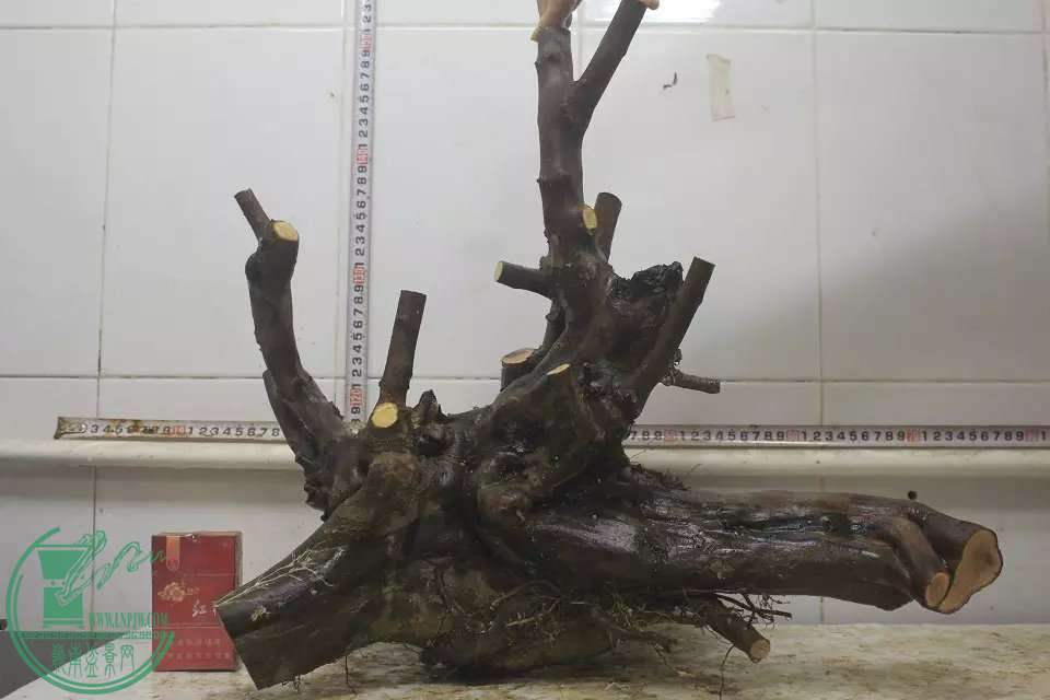 psb (1).jpg