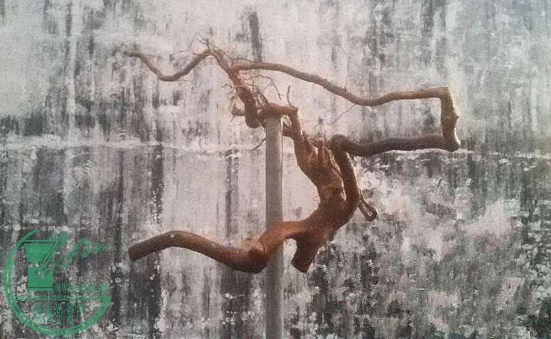 9_.jpg