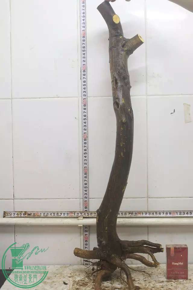 psb (9).jpg