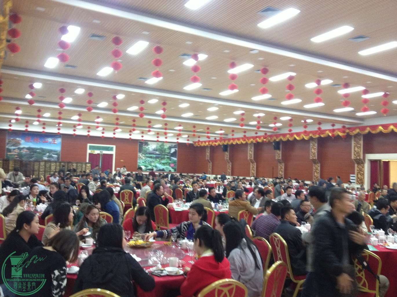 14.JPG