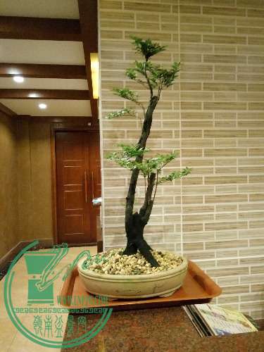 IMG20151102174529.jpg