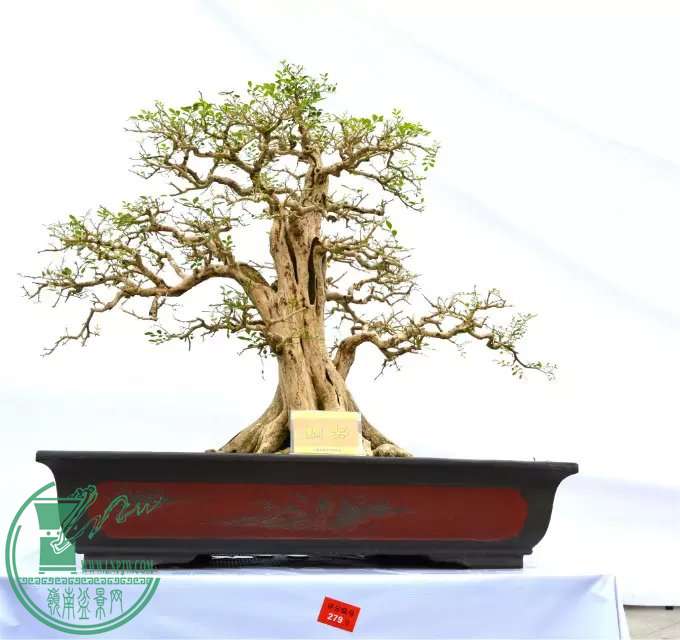 484.jpg
