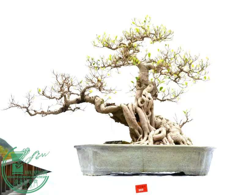 38.jpg