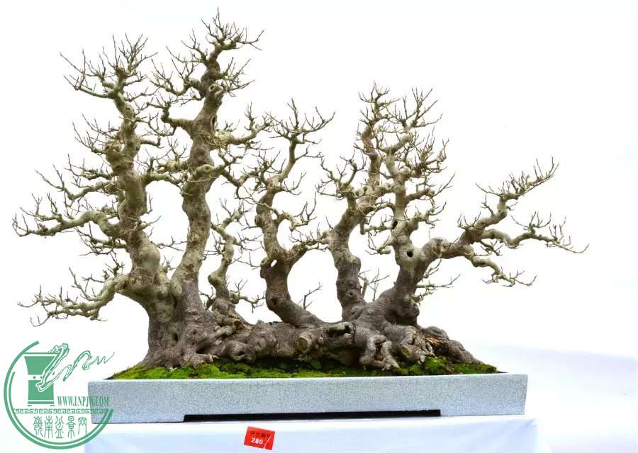 665.jpg