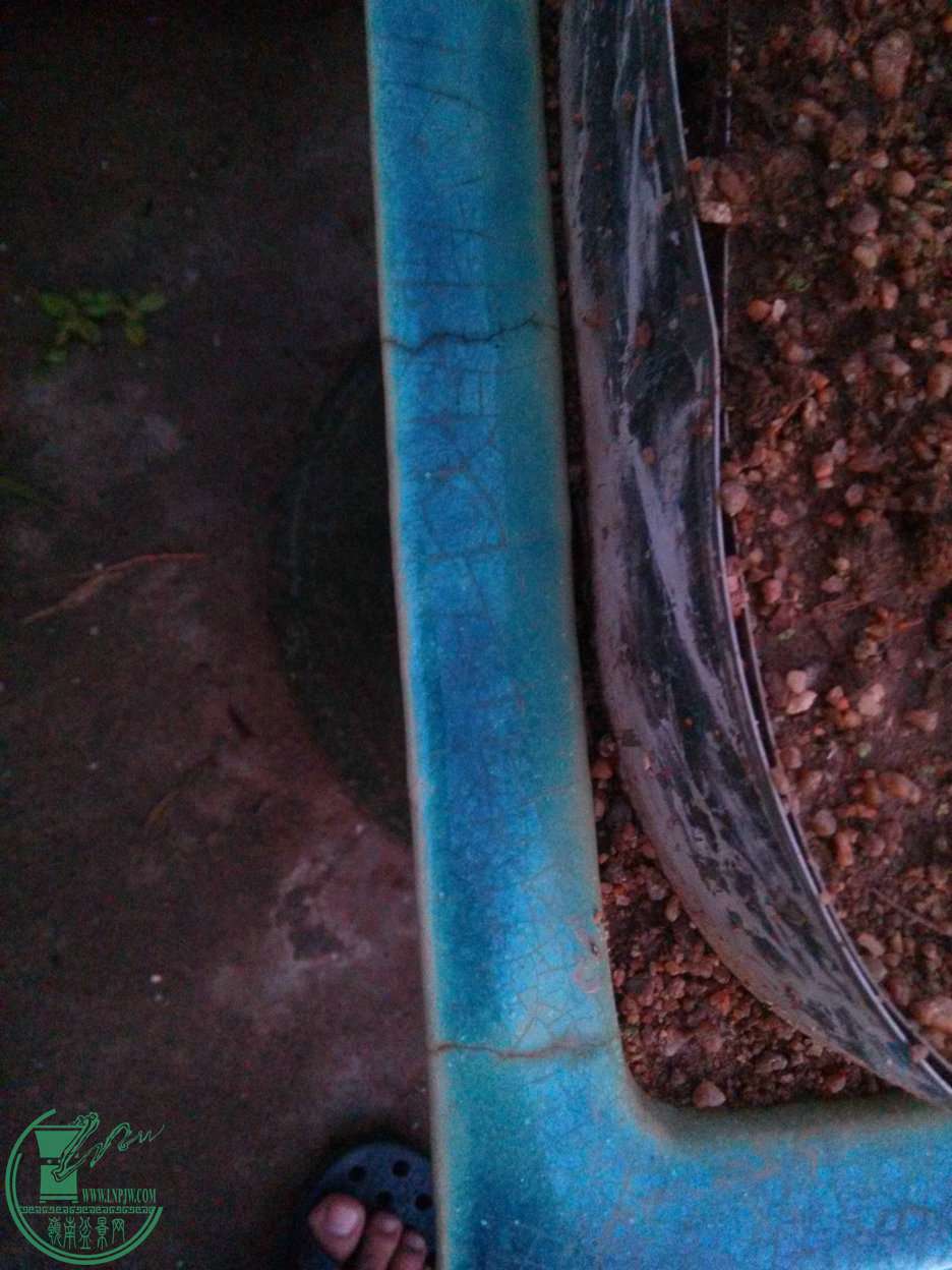 IMG20151116175714.jpg