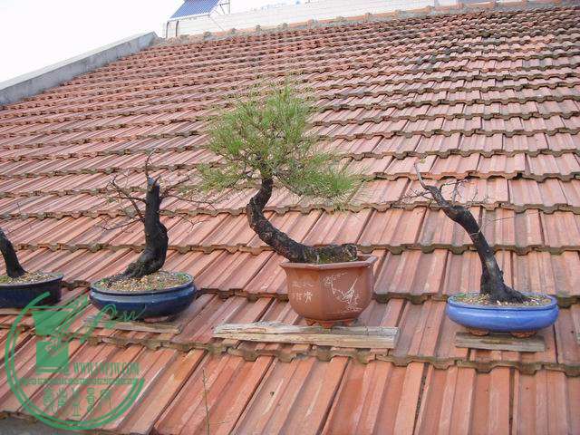 С SDC14058.JPG