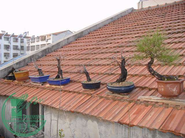 С SDC14073.JPG