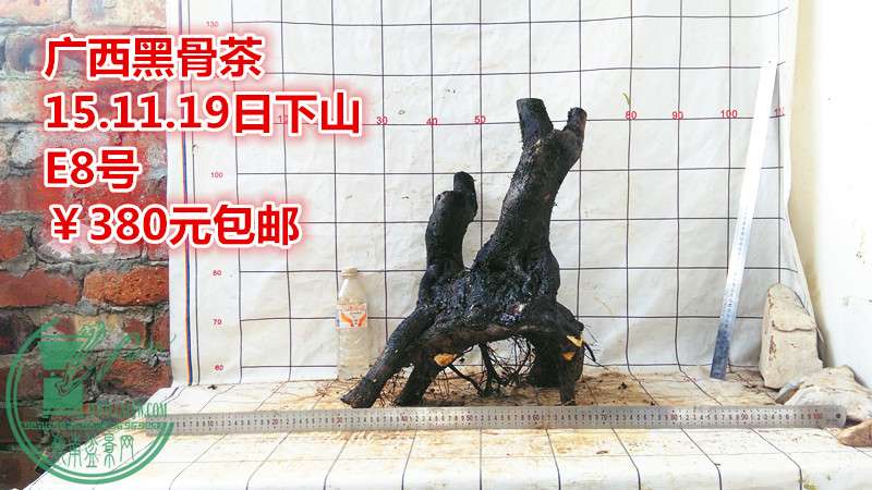 IMG_20151119_144103_.jpg
