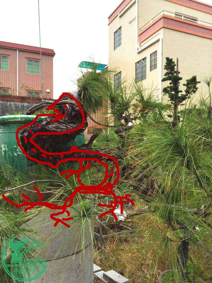 231245shjhomtmkxtmjmmm.jpg.thumb.jpg
