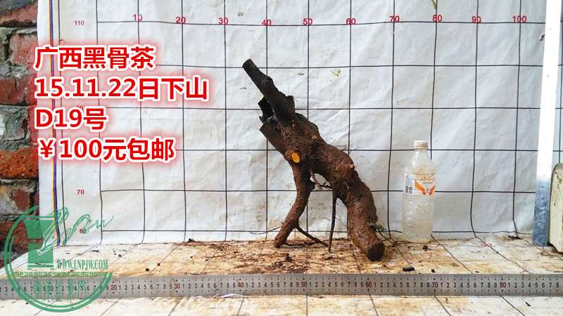 IMG_20151122_174506_.jpg