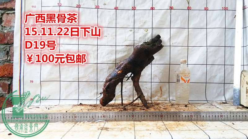 IMG_20151122_174526_.jpg