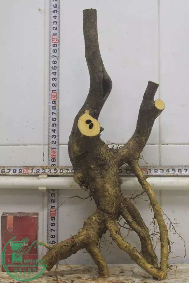 psb (11).jpg