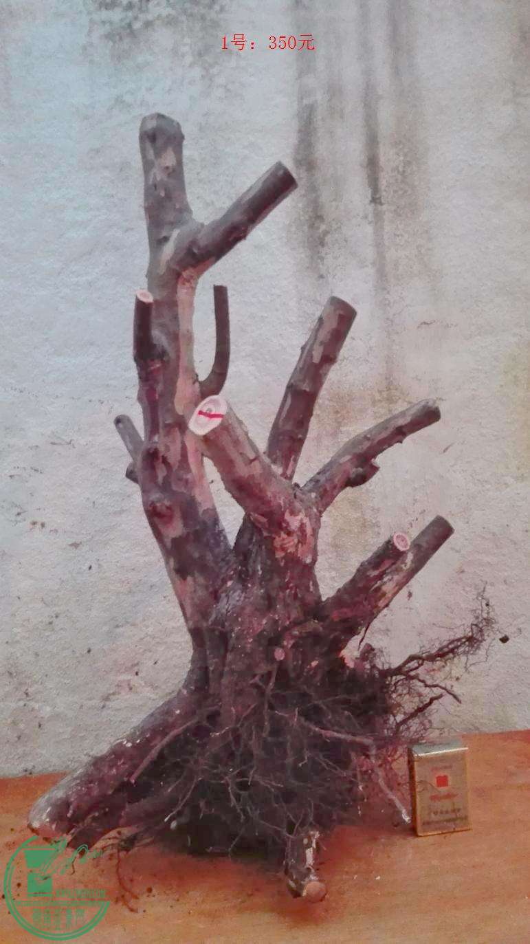 1-2.jpg