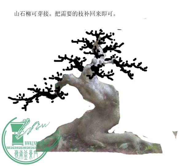 δ-1.jpg