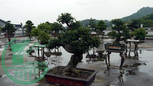 P1020875_.jpg
