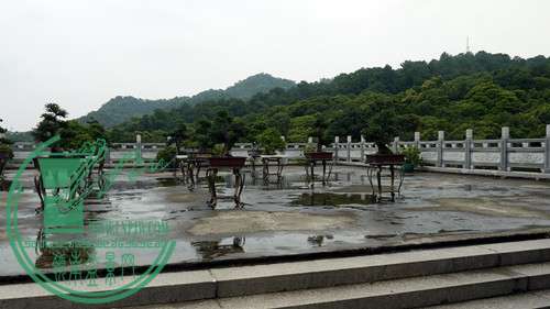P1020874_.jpg