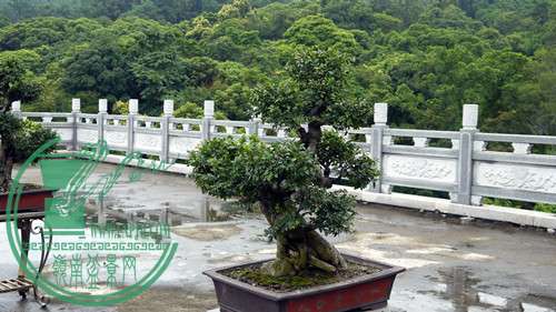 P1020876_.jpg