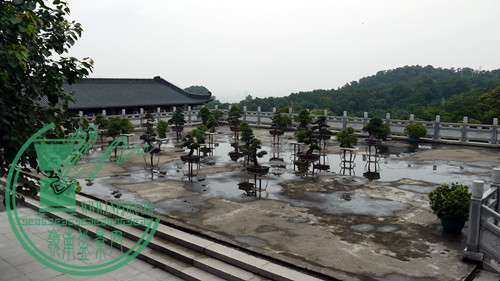 p1020960_.jpg