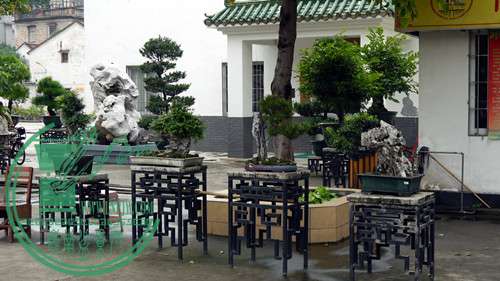 P1020985_.jpg