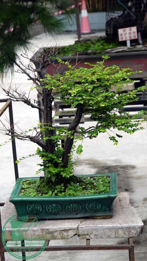 P1020996_.jpg