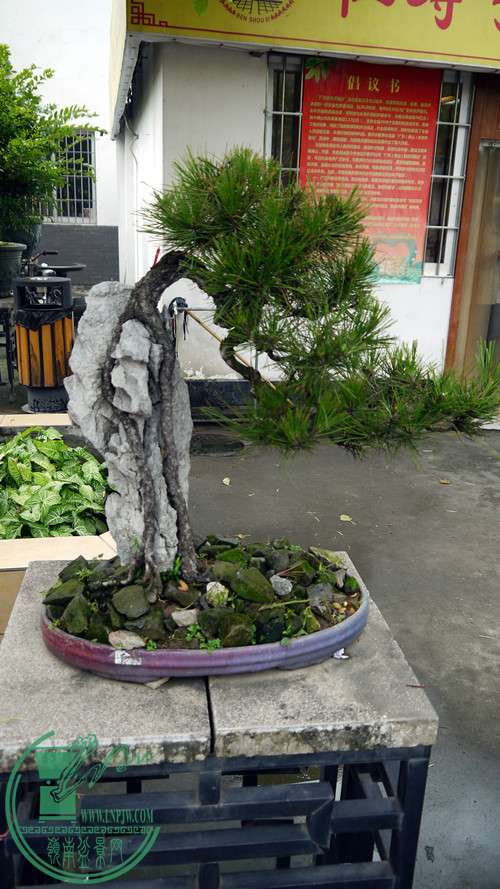 P1020999_.jpg