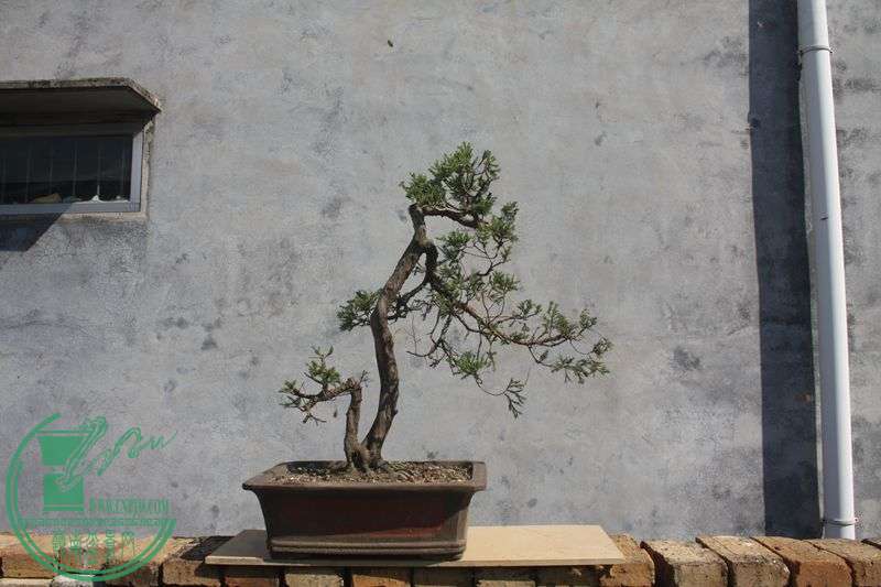 Ƭ20131026ۺ 4027.jpg