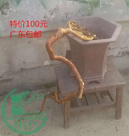 1_.jpg