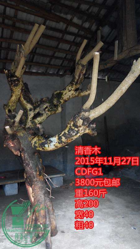 IMG_20151127_163357_.jpg