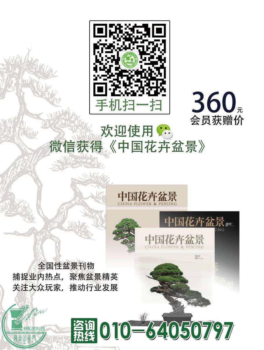 penjing.jpg