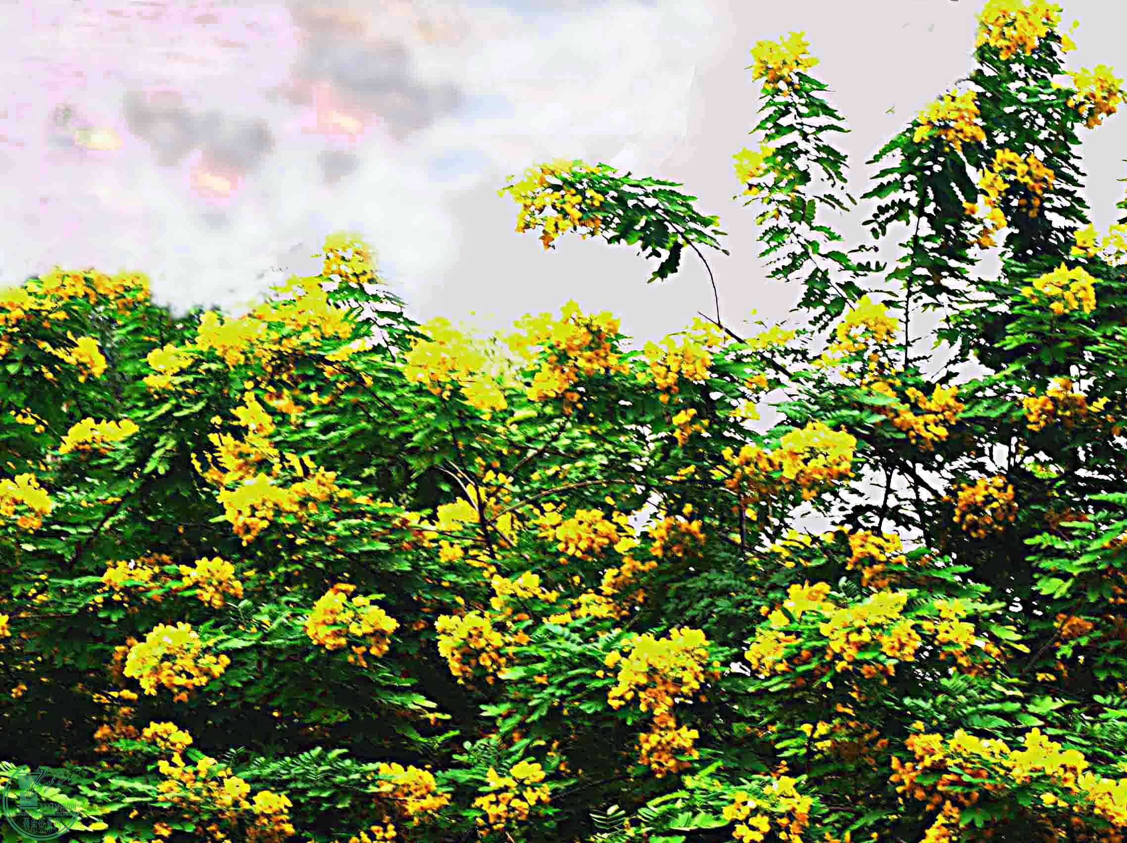 ƬƬ.jpg