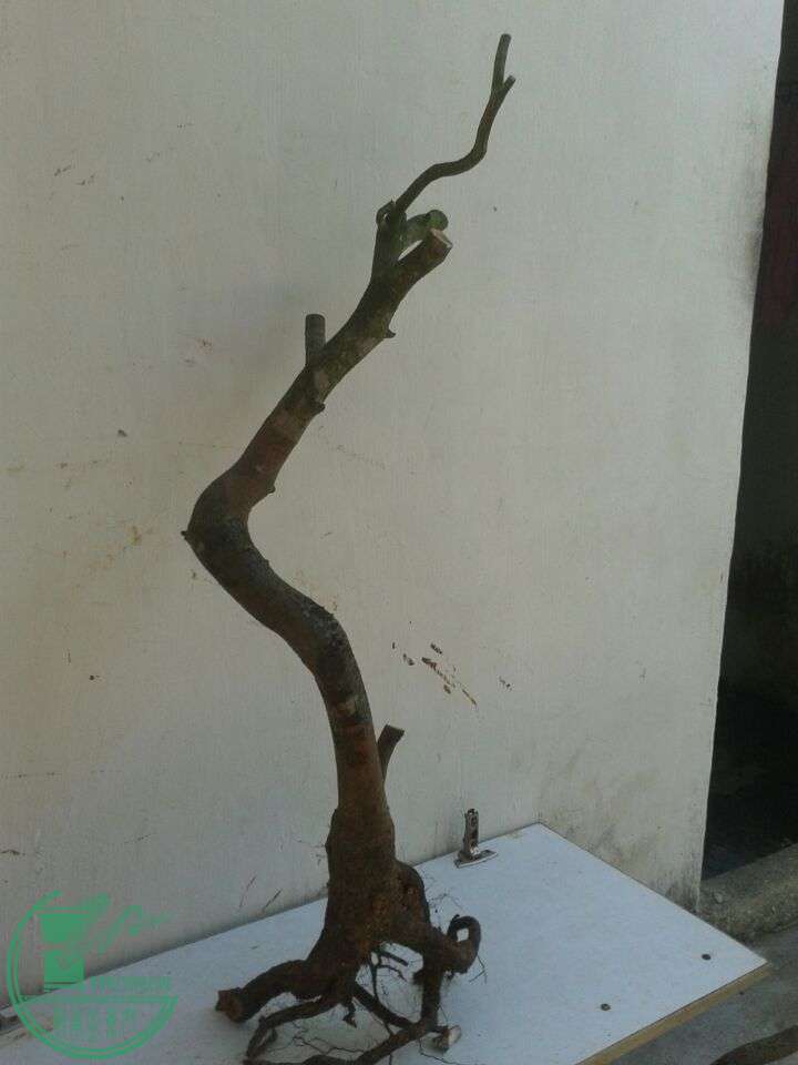 QQͼƬ20151201154747.jpg