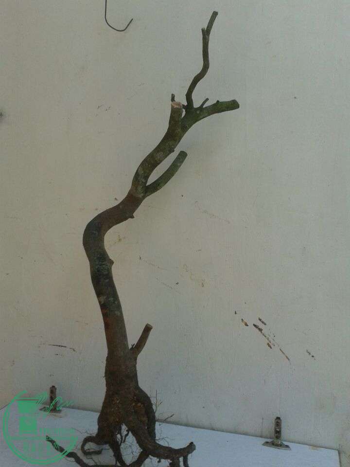 QQͼƬ20151201154753.jpg