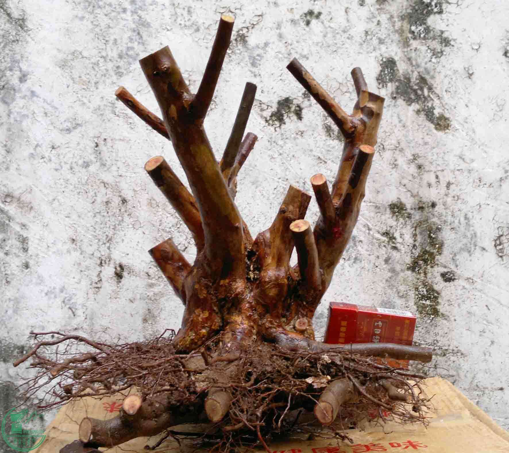 201512025072.jpg