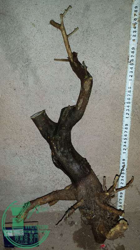 709434