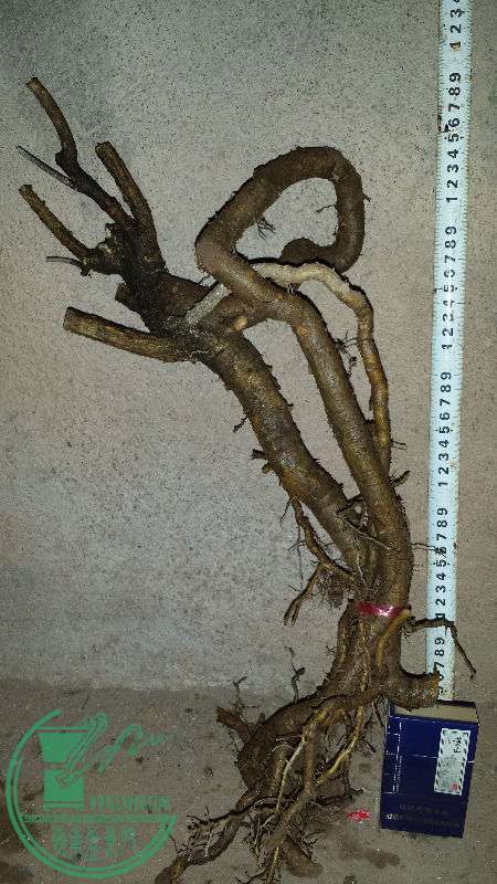 709437