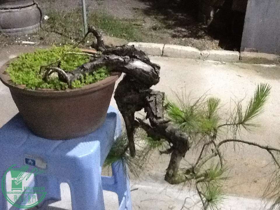 image.jpg