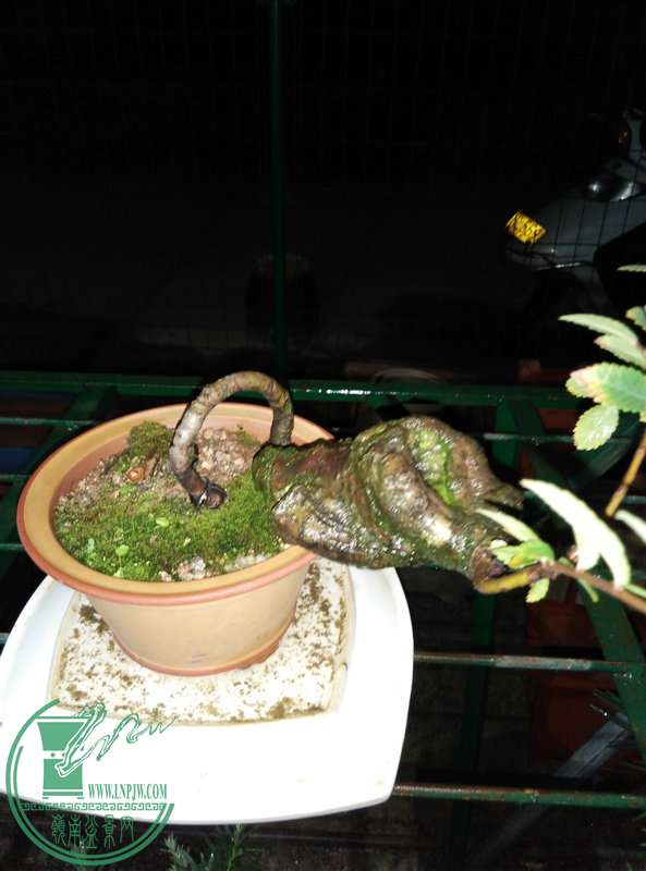 IMG_20151202_182936.jpg