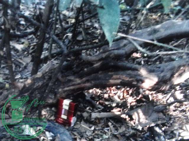 DSC02614.JPG
