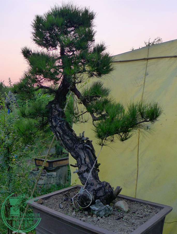P1090926____.jpg