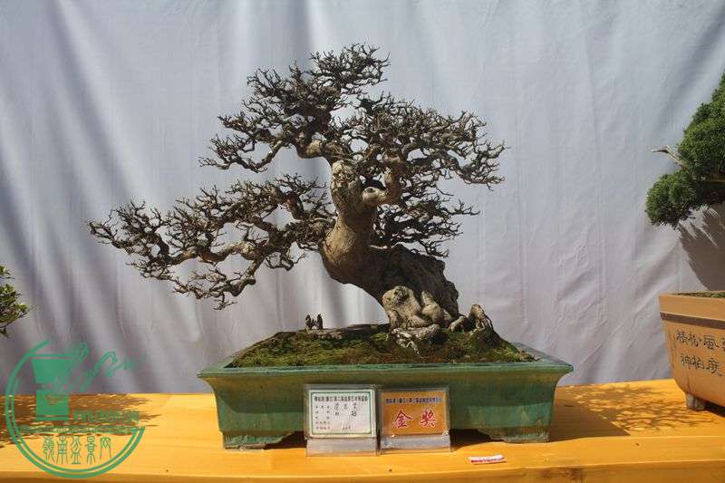 Ƭ20131026ۺ 001.jpg