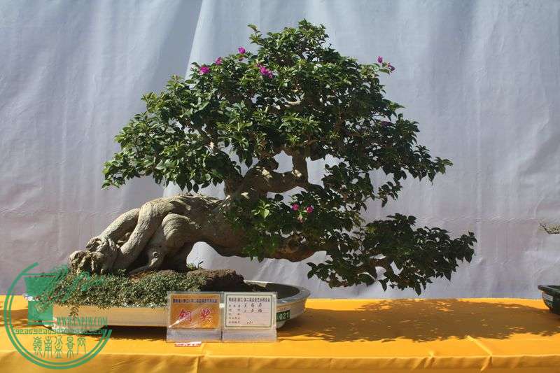Ƭ20131026ۺ 022.jpg