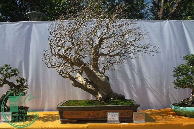 Ƭ20131026ۺ 026.jpg