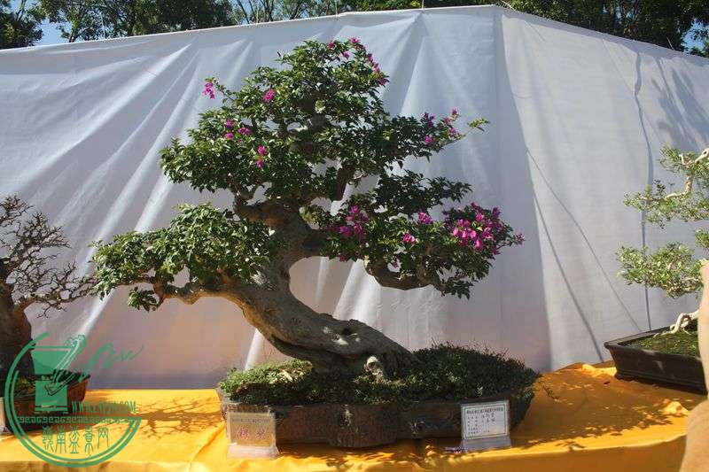 Ƭ20131026ۺ 030.jpg