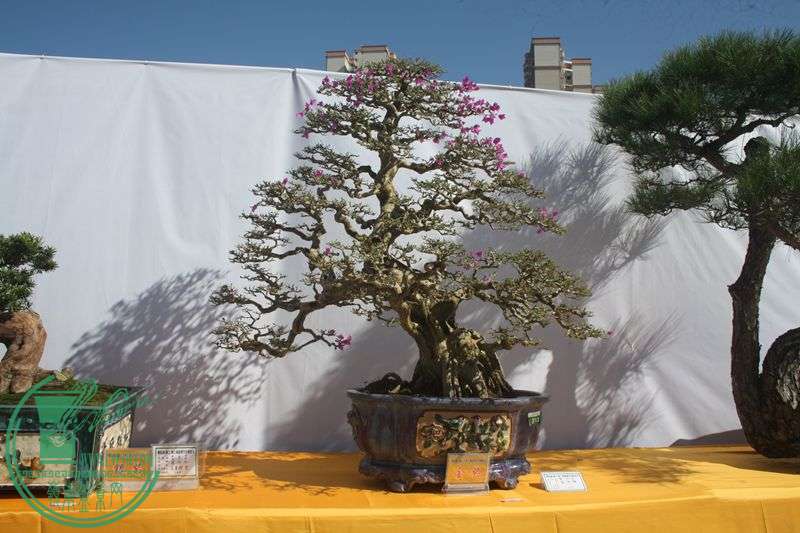 Ƭ20131026ۺ 227.jpg